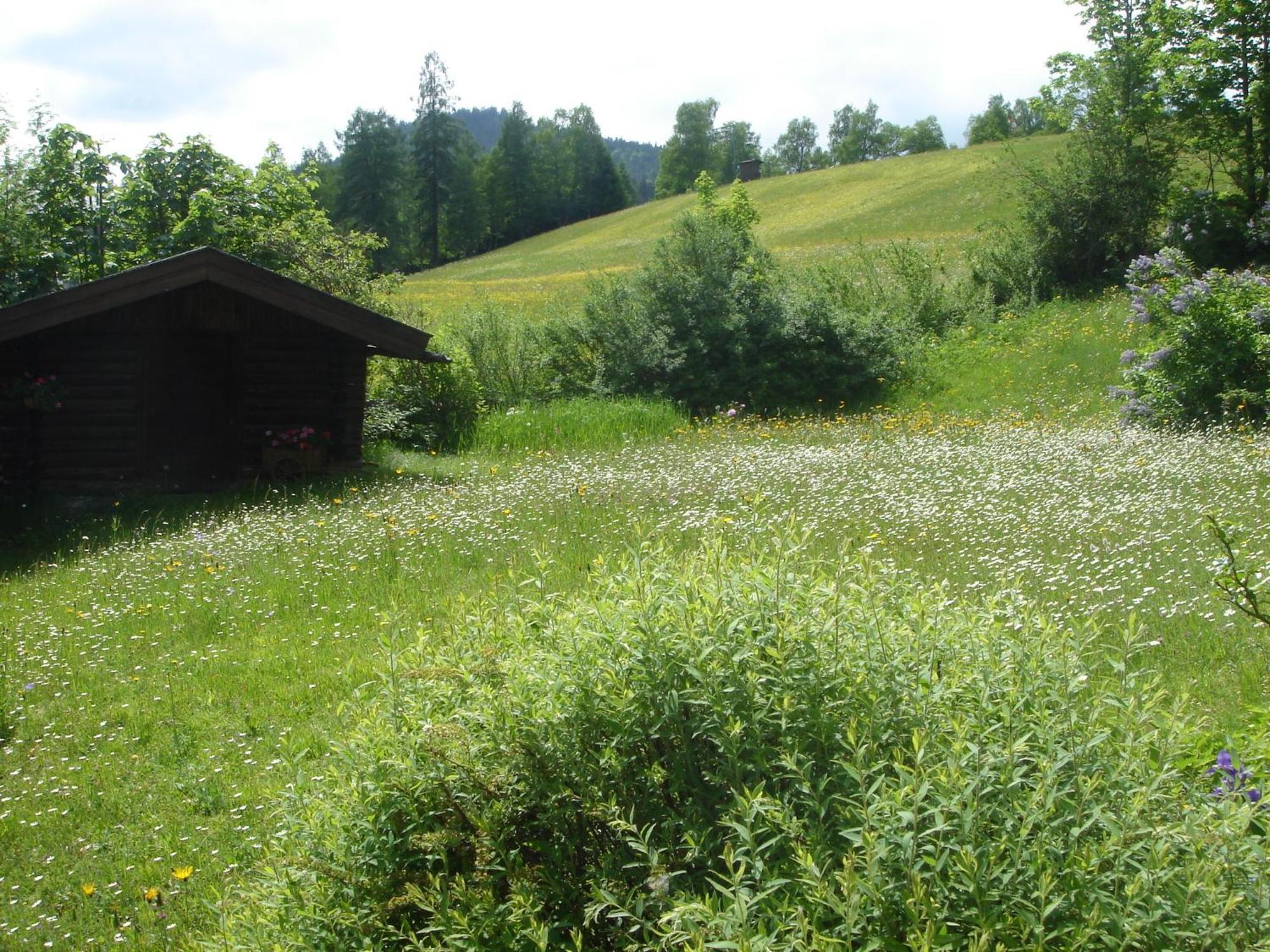 Landhaus Frenes Apartments Seefeld in Tirol Dış mekan fotoğraf